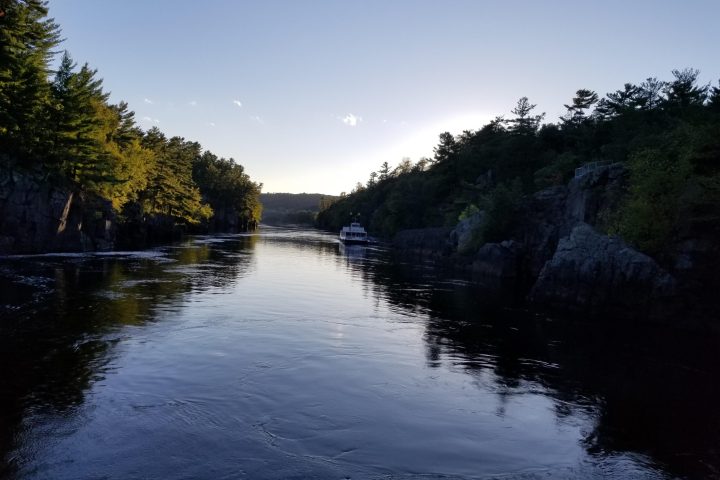 a body of water surrounded by trees