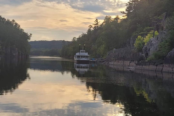a body of water surrounded by trees