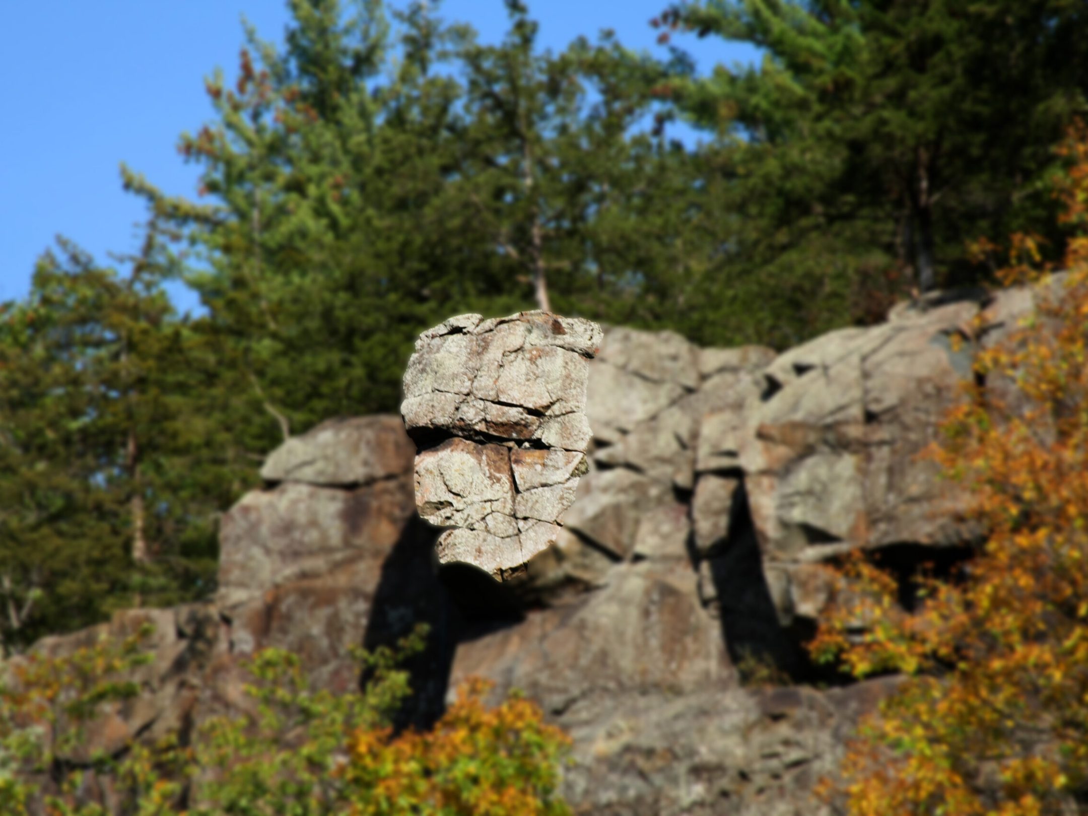 Rock formation of a face next to trees
