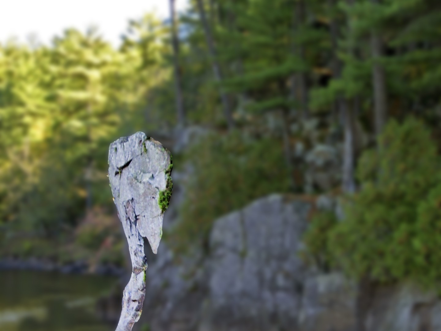 Rock formation in shape of elephant head
