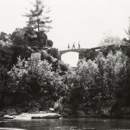 People standing on a rocky bridge over a river surrounded by trees.