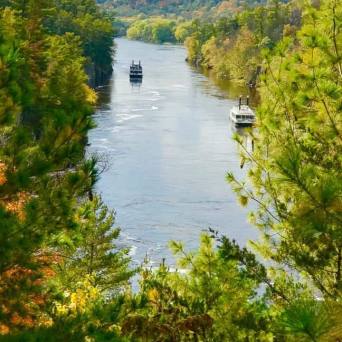 Boats sailing on a river surrounded by lush, green trees under a partly cloudy sky.